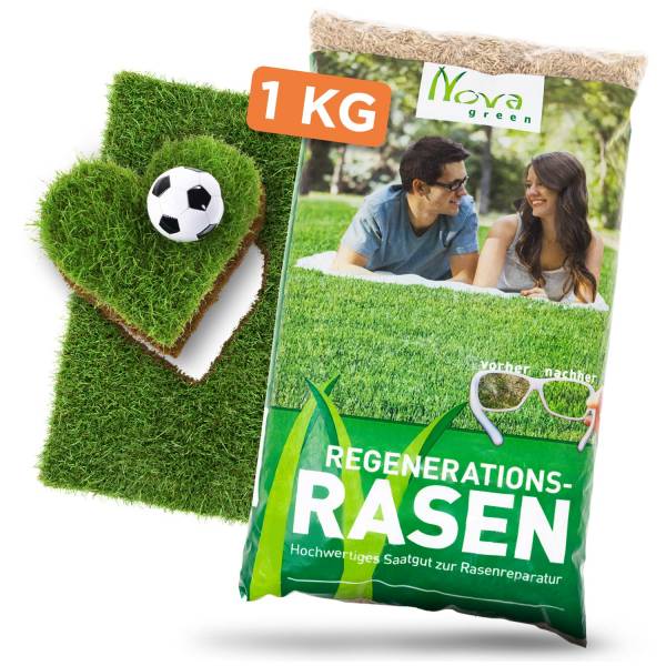 Nachsaat Rasen und Reparaturrasen