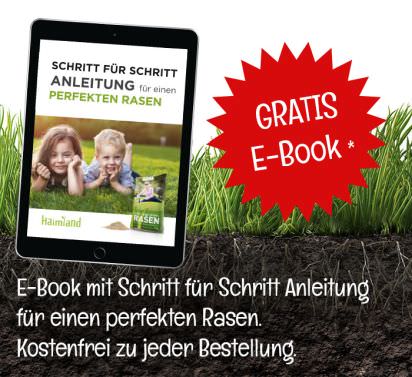 gratis-ebook-footer
